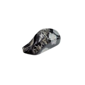 Obsidiana Nevada