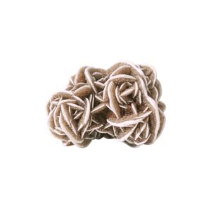 Rosa del Desierto