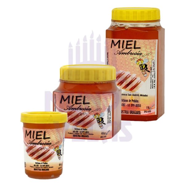 miel Miel