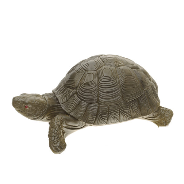 Tartaruga da sorte Tartaruga da Sorte
