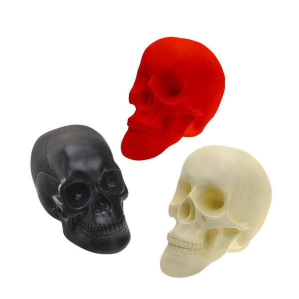 cranios Crânio Caveira 15cm