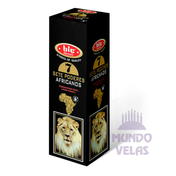 7 poderes africanos (BIC)